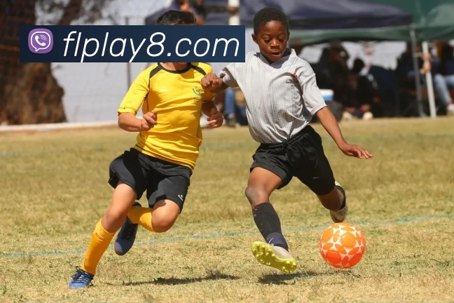 富联娱乐官网服务体系